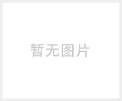 供应CSPPM高温压力变送器